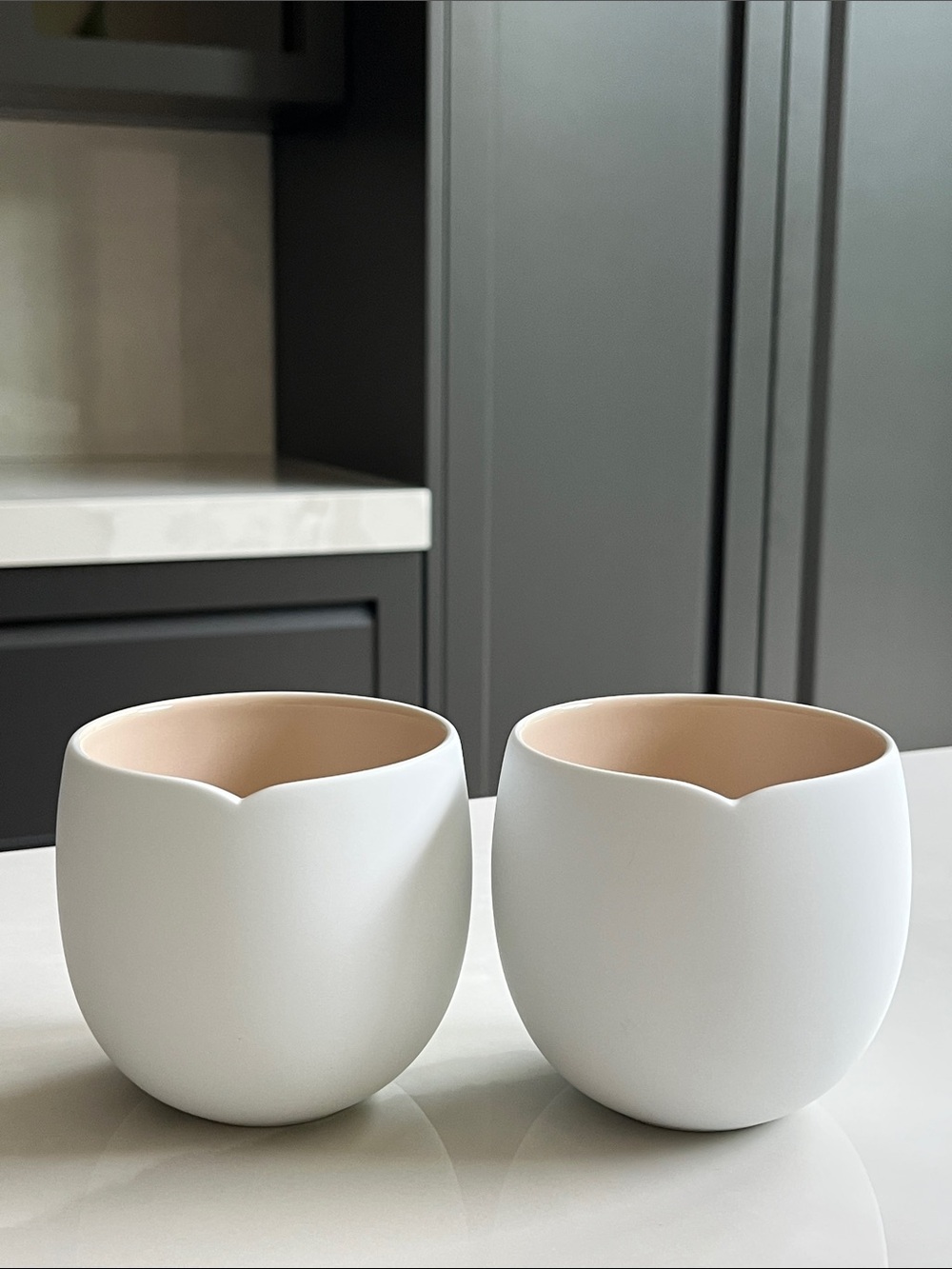 Nespresso Origin Large Mugs. William Sonoma Double Walled Bisque Mugs.